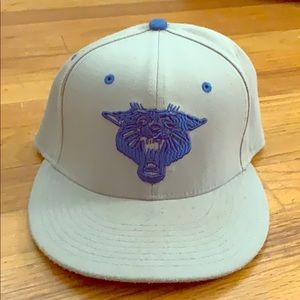 University of Kentucky hat